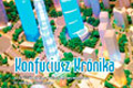 Konfuciusz Krónika 2010/1